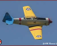 TSR Watermark - 0434